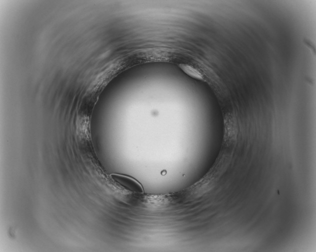 X0000103280141200808291320