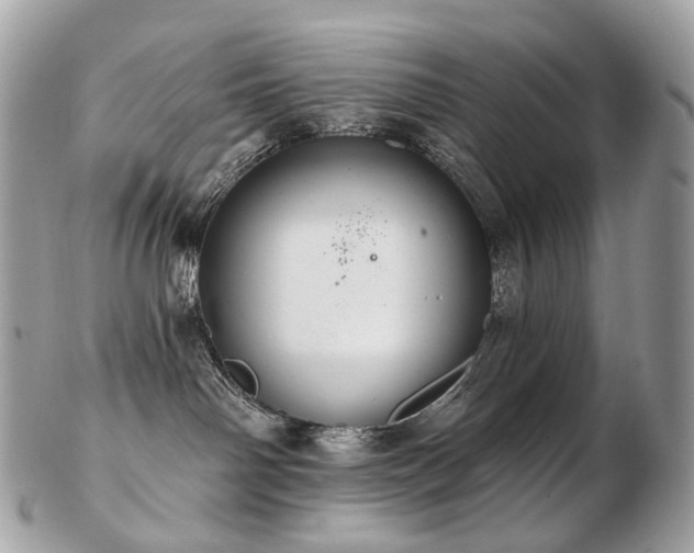 X0000103280142200808291319