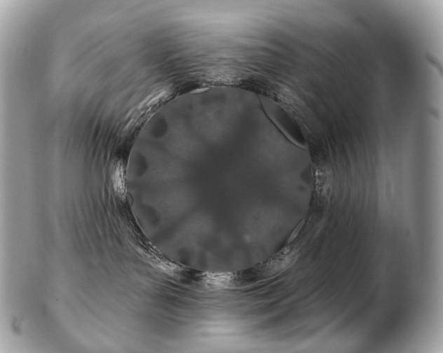 X0000103280143200808291319