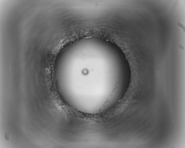 X0000103280144200808291319