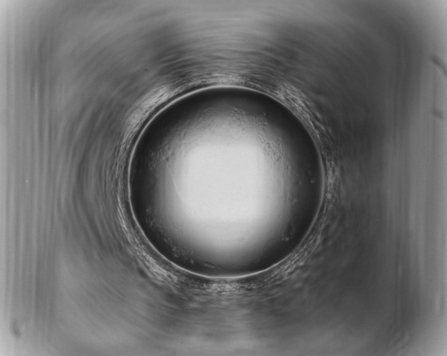 X0000103280145200808291319