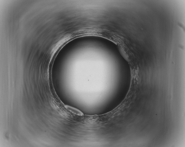 X0000103280148200808291319