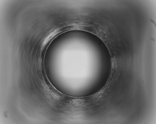 X0000103280150200808291319