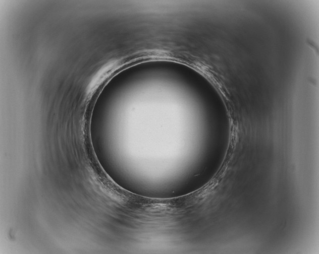 X0000103280151200808291319