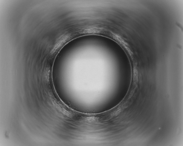 X0000103280153200808291319