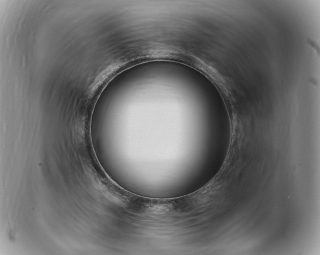 X0000103280155200808291319