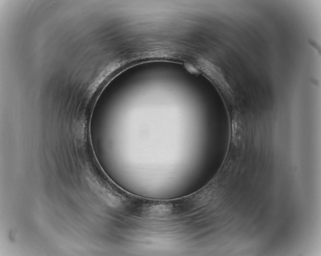 X0000103280156200808291319