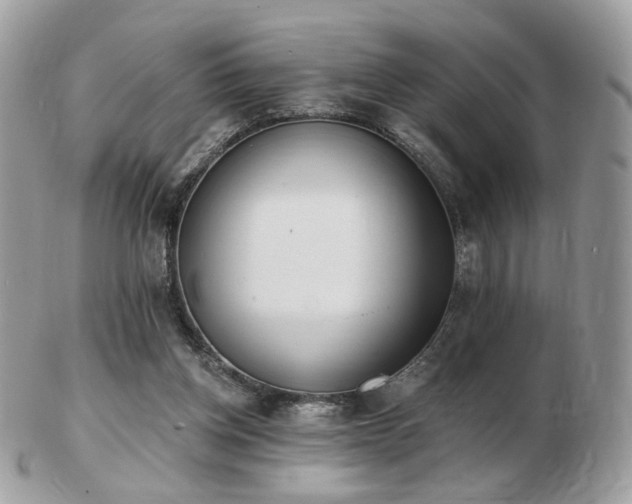 X0000103280158200808291319