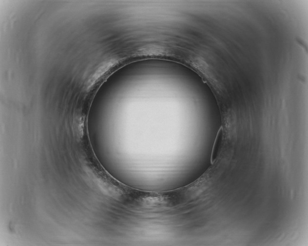 X0000103280160200808291319