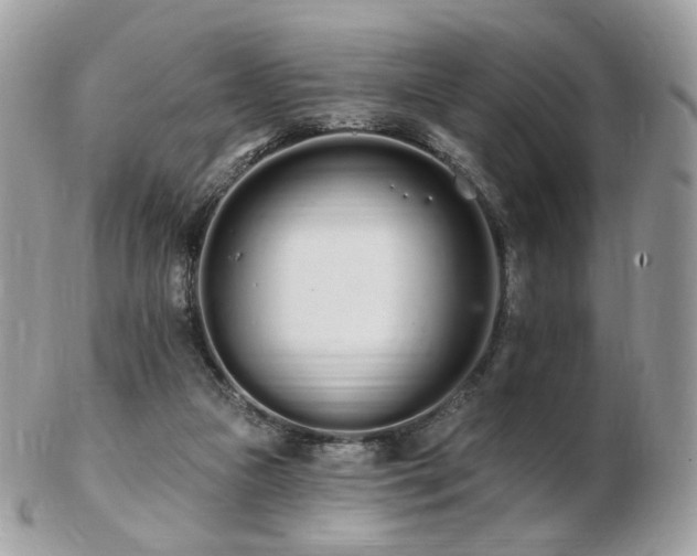 X0000103280161200808291319