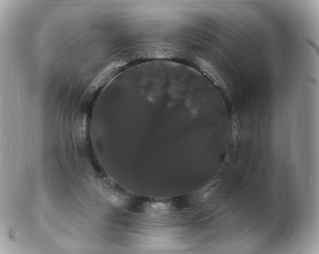 X0000103280163200808291319