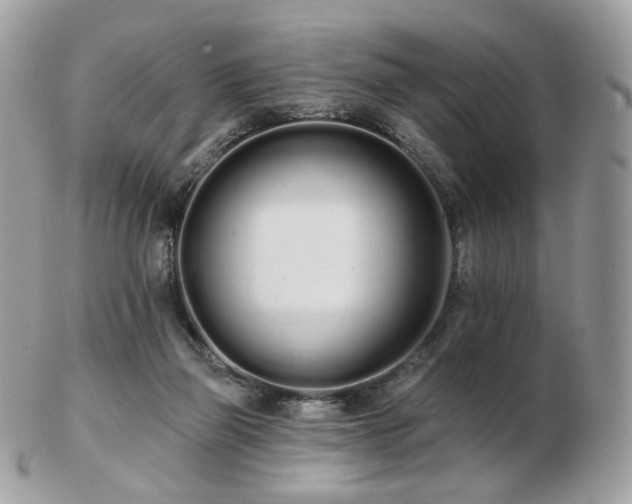 X0000103280165200808291319