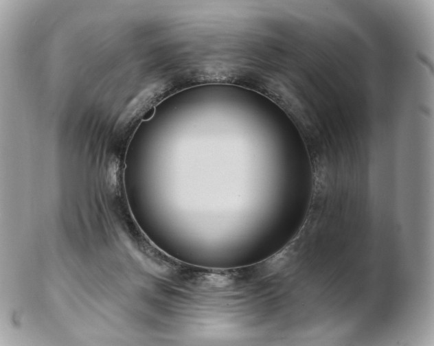 X0000103280166200808291319