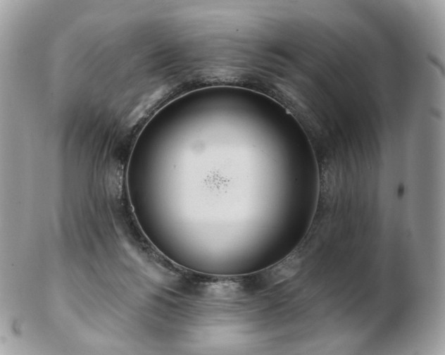 X0000103280168200808291319