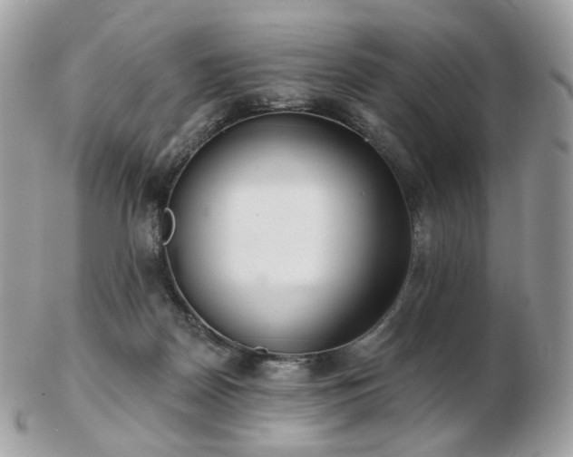 X0000103280170200808291319