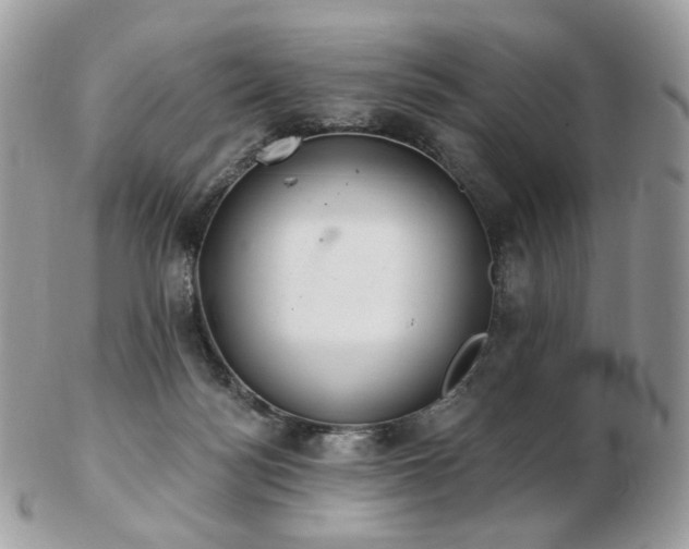 X0000103280172200808291319