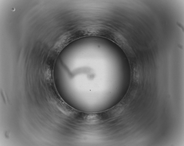 X0000103280173200808291319