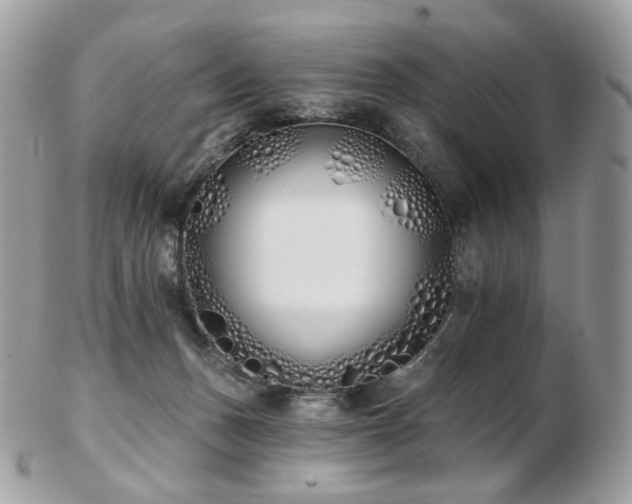 X0000103280175200808291319