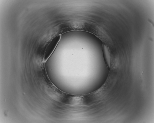 X0000103280176200808291319