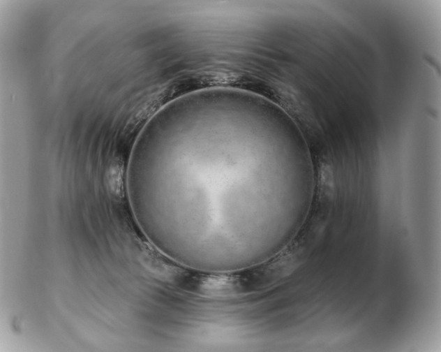 X0000103280177200808291319