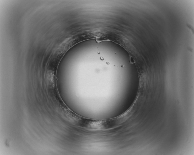 X0000103280178200808291319