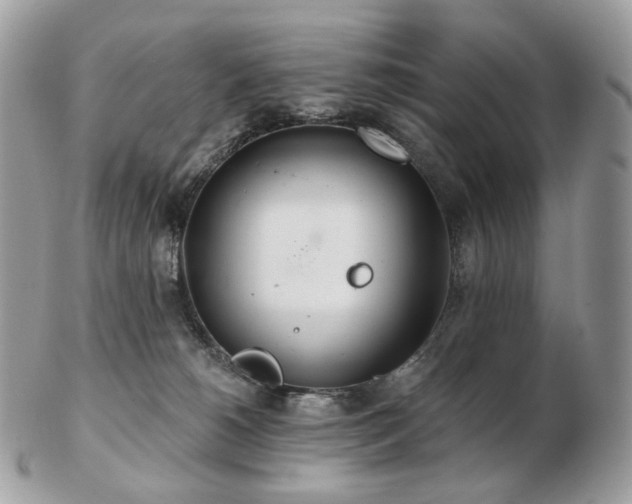 X0000103280180200808291319