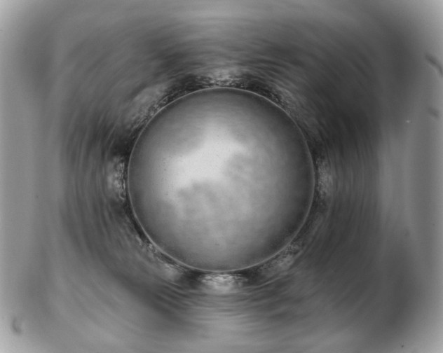 X0000103280181200808291319