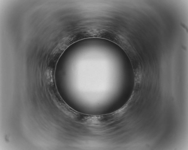 X0000103280182200808291319