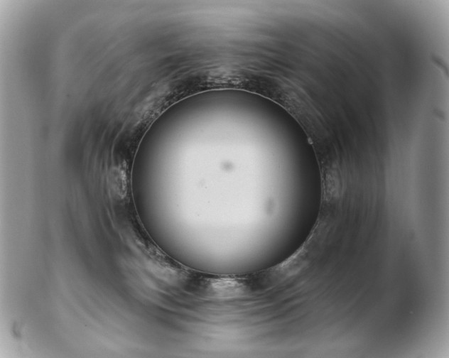 X0000103280183200808291319