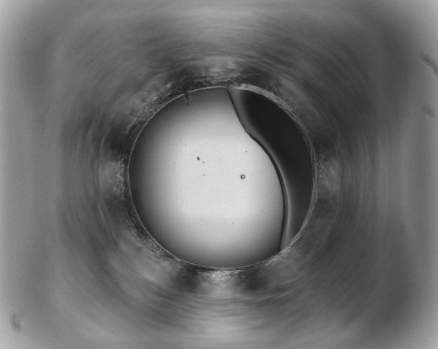 X0000103280184200808291319