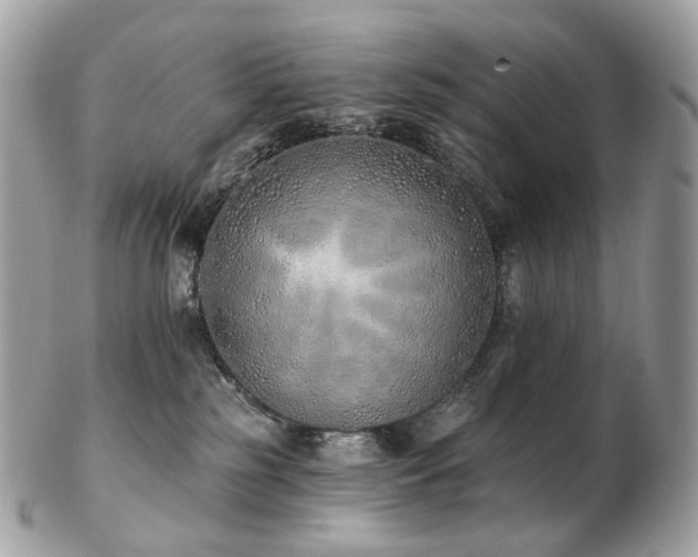 X0000103280185200808291319