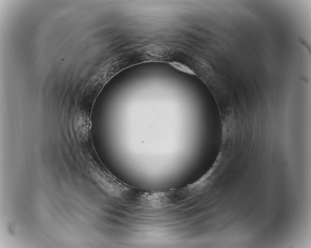 X0000103280186200808291319