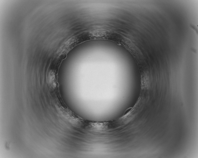 X0000103280187200808291319