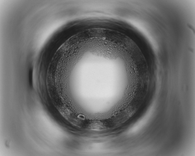 X0000103280189200808291319