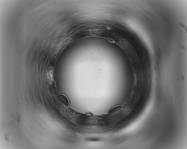 X0000103280190200808291319