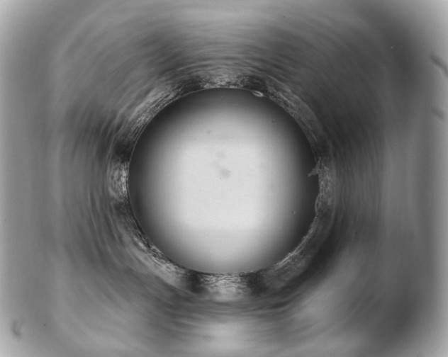 X0000103280191200808291319