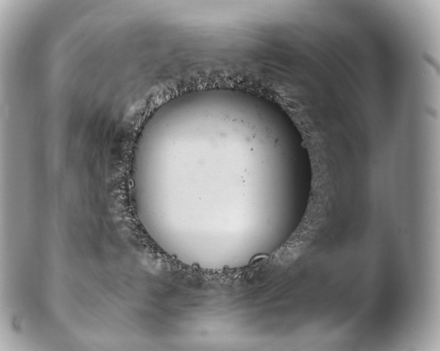 X0000103280192200808291319