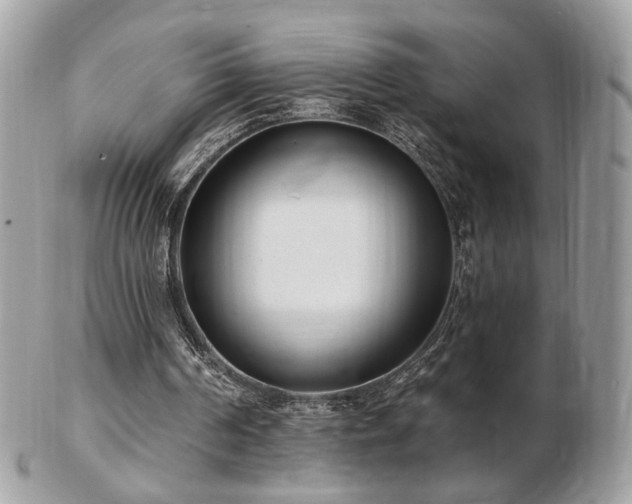 X0000103280194200808291319