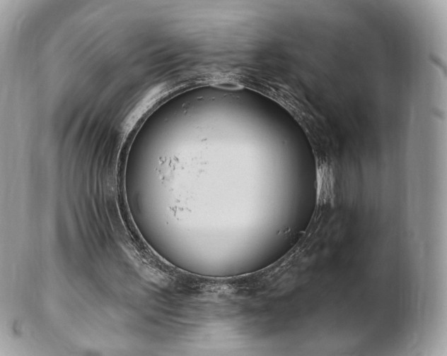 X0000103280195200808291319