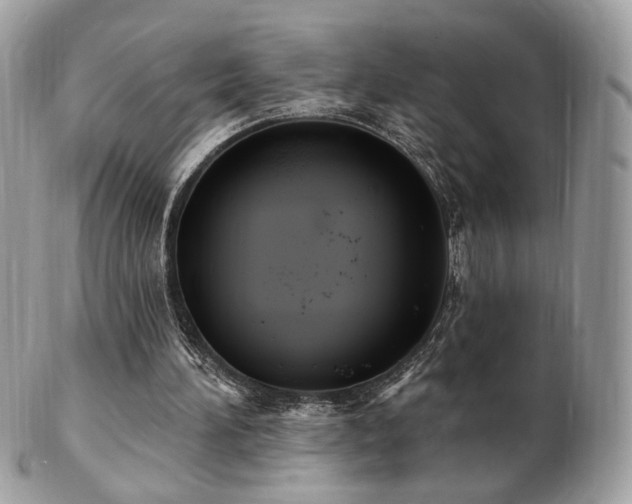 X0000103280196200808291319