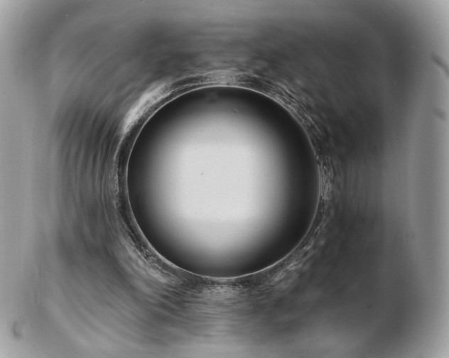 X0000103280198200808291319