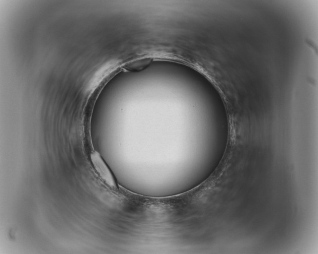 X0000103280199200808291319