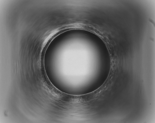 X0000103280200200808291319