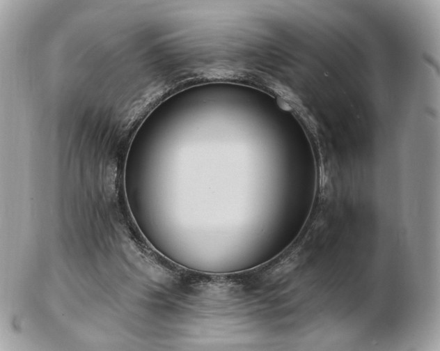 X0000103280201200808291319