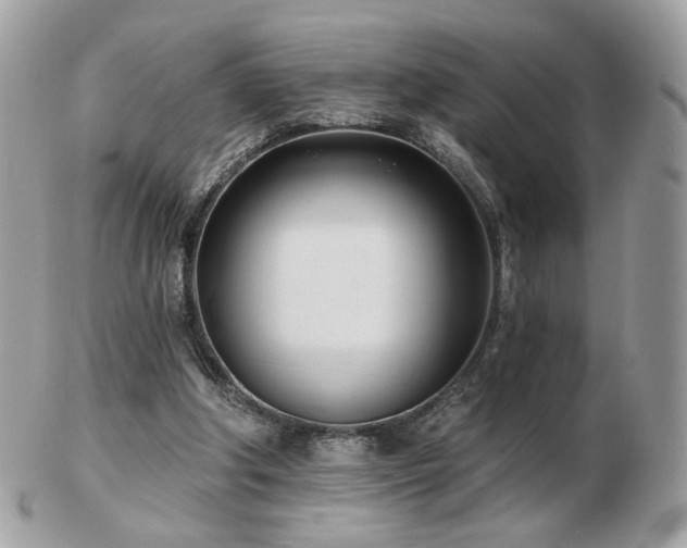 X0000103280202200808291318