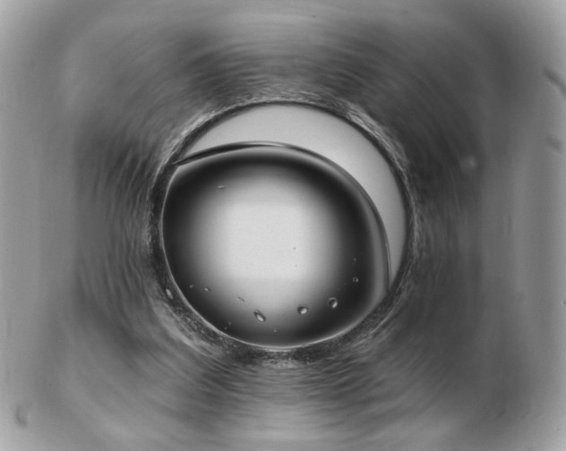 X0000103280203200808291318