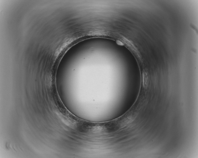 X0000103280204200808291318