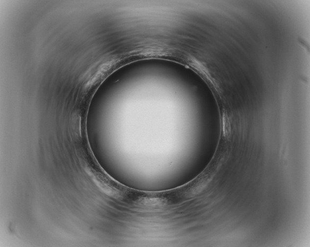 X0000103280205200808291318