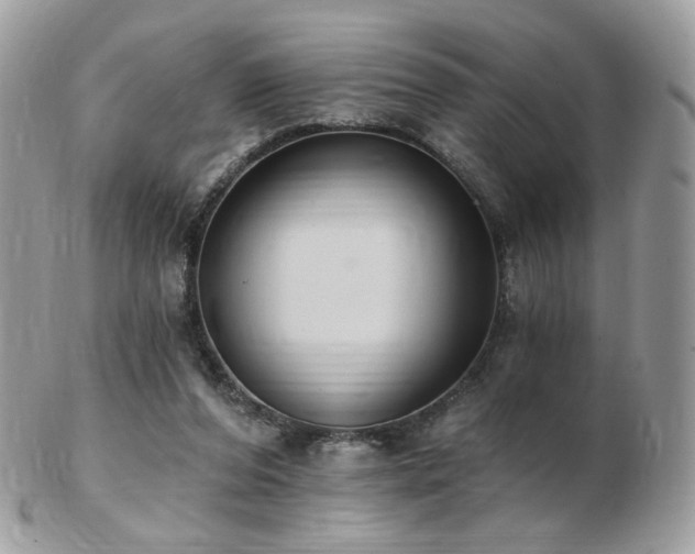 X0000103280208200808291318