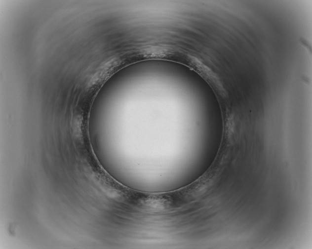 X0000103280209200808291318